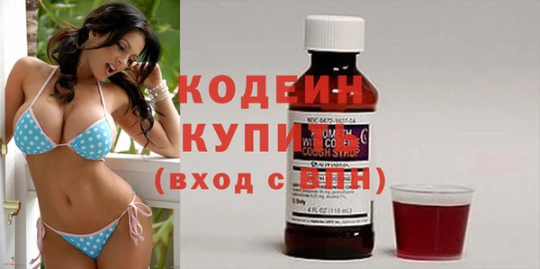 индика Волоколамск