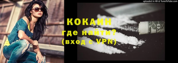 индика Волоколамск