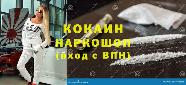 индика Волоколамск