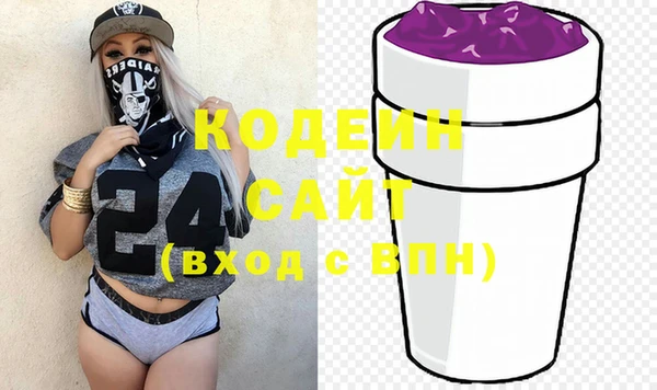 индика Волоколамск