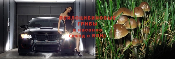 не бодяженный Волосово