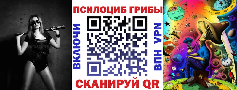 Псилоцибиновые грибы Psilocybe  Каменногорск 