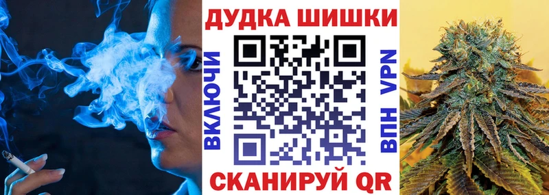 где можно купить наркотик  Каменногорск  OMG   Канабис ГИДРОПОН 